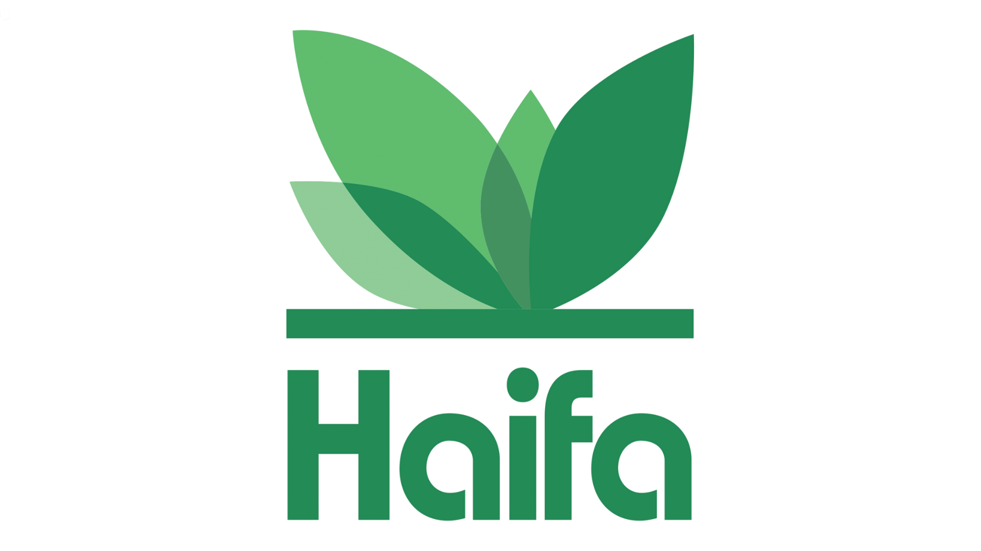 haifa